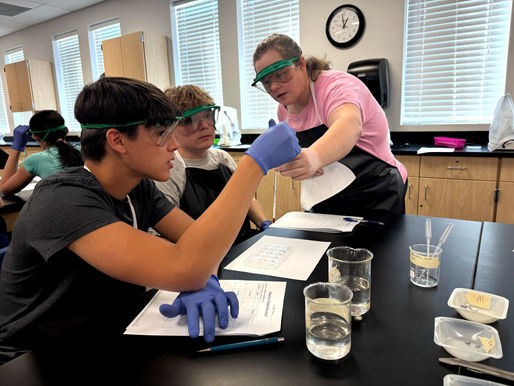 Public vs. Private High School:  How to Choose What's Best