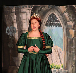 Christian Phoenix high school